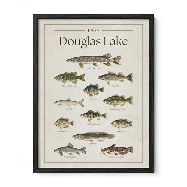 Douglas Lake Print