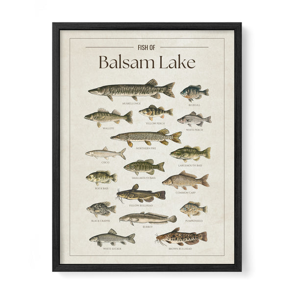 Balsam Lake Print