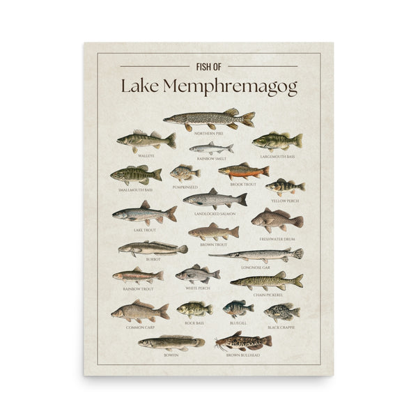 Lake Memphremagog Print