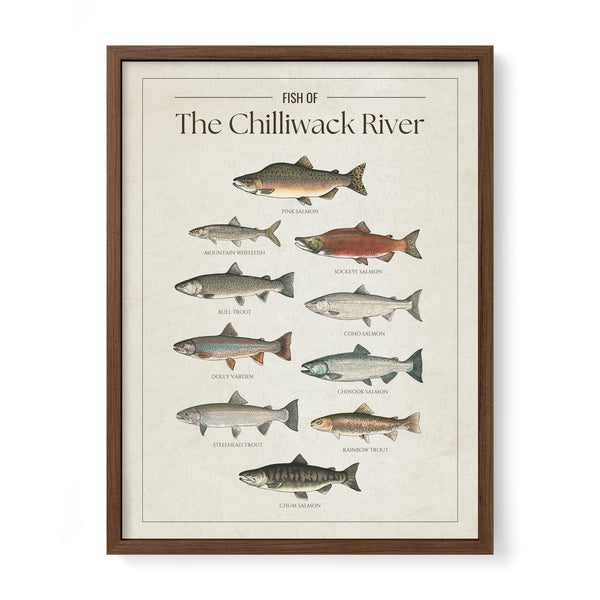 The Chilliwack River Print