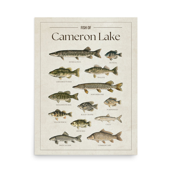Cameron Lake Print