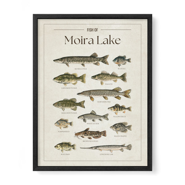 Moira Lake Print