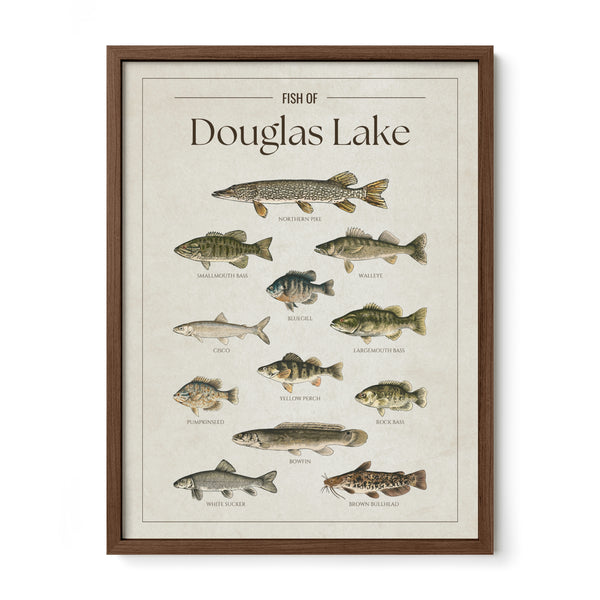 Douglas Lake Print