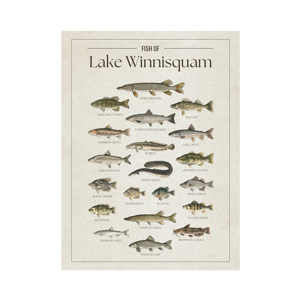 Lake Winnisquam Print