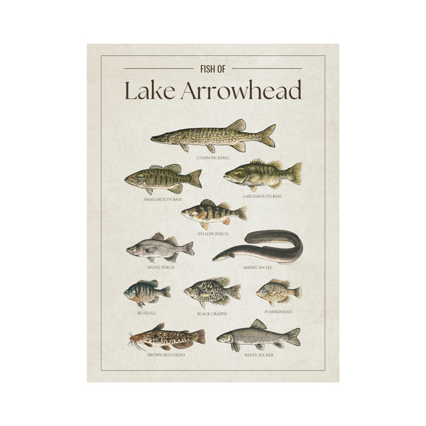 Lake Arrowhead Print