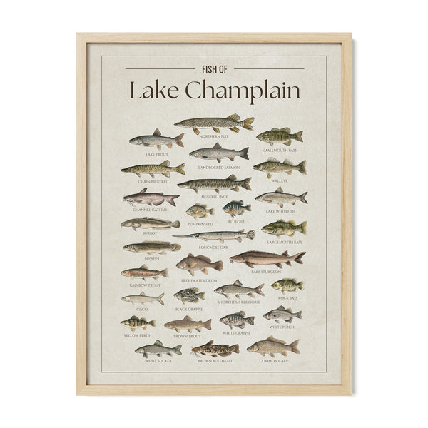 Lake Champlain Print