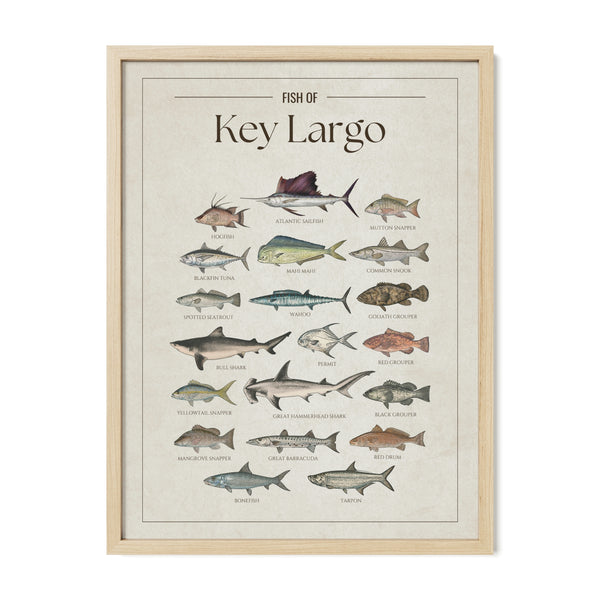 Fish of Key Largo poster with natural frame featuring illustrated saltwater fish species found in the Florida Keys, including Atlantic sailfish, mahi mahi, tarpon, wahoo, blackfin tuna, permit, snook, red grouper, goliath grouper, and hammerhead shark. Vintage fish identification print for anglers, sport fishermen, and coastal home decor.