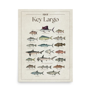 Fish of Key Largo poster featuring illustrated saltwater fish species found in the Florida Keys, including Atlantic sailfish, mahi mahi, tarpon, wahoo, blackfin tuna, permit, snook, red grouper, goliath grouper, and hammerhead shark. Vintage fish identification print for anglers, sport fishermen, and coastal home decor."
