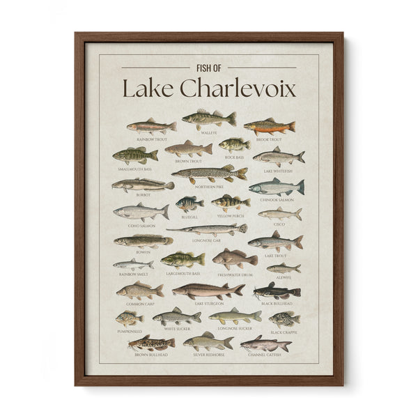 Fish of Lake Charlevoix poster with Walnut Frame featuring illustrated fish species found in Lake Charlevoix, Michigan, including walleye, lake trout, northern pike, smallmouth bass, yellow perch, Chinook salmon, lake sturgeon, and rainbow trout. Vintage fish identification print and lake house wall art for anglers and fishing enthusiasts.