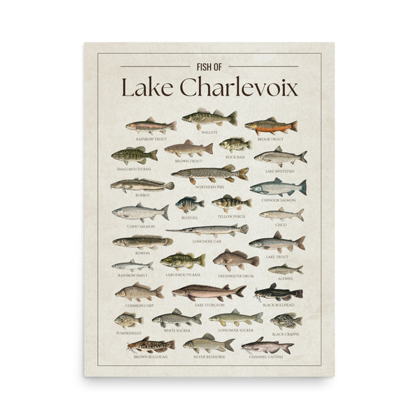 Fish of Lake Charlevoix poster featuring illustrated fish species found in Lake Charlevoix, Michigan, including walleye, lake trout, northern pike, smallmouth bass, yellow perch, Chinook salmon, lake sturgeon, and rainbow trout. Vintage fish identification print and lake house wall art for anglers and fishing enthusiasts.