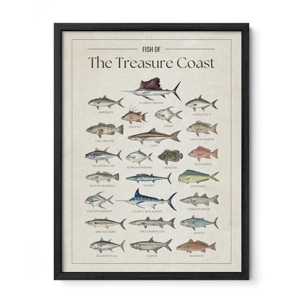 Fish of the Treasure Coast poster with black frame featuring illustrated Florida saltwater fish species including Atlantic sailfish, Atlantic blue marlin, mahi mahi, wahoo, tarpon, yellowfin tuna, blackfin tuna, king mackerel, cobia, snook, red snapper, and barracuda. Vintage Florida fish identification print and coastal wall art for anglers and fishing enthusiasts.