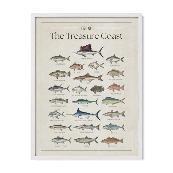 Fish of the Treasure Coast poster with white frame featuring illustrated Florida saltwater fish species including Atlantic sailfish, Atlantic blue marlin, mahi mahi, wahoo, tarpon, yellowfin tuna, blackfin tuna, king mackerel, cobia, snook, red snapper, and barracuda. Vintage Florida fish identification print and coastal wall art for anglers and fishing enthusiasts.