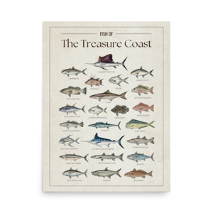 Fish of the Treasure Coast poster featuring illustrated Florida saltwater fish species including Atlantic sailfish, Atlantic blue marlin, mahi mahi, wahoo, tarpon, yellowfin tuna, blackfin tuna, king mackerel, cobia, snook, red snapper, and barracuda. Vintage Florida fish identification print and coastal wall art for anglers and fishing enthusiasts."